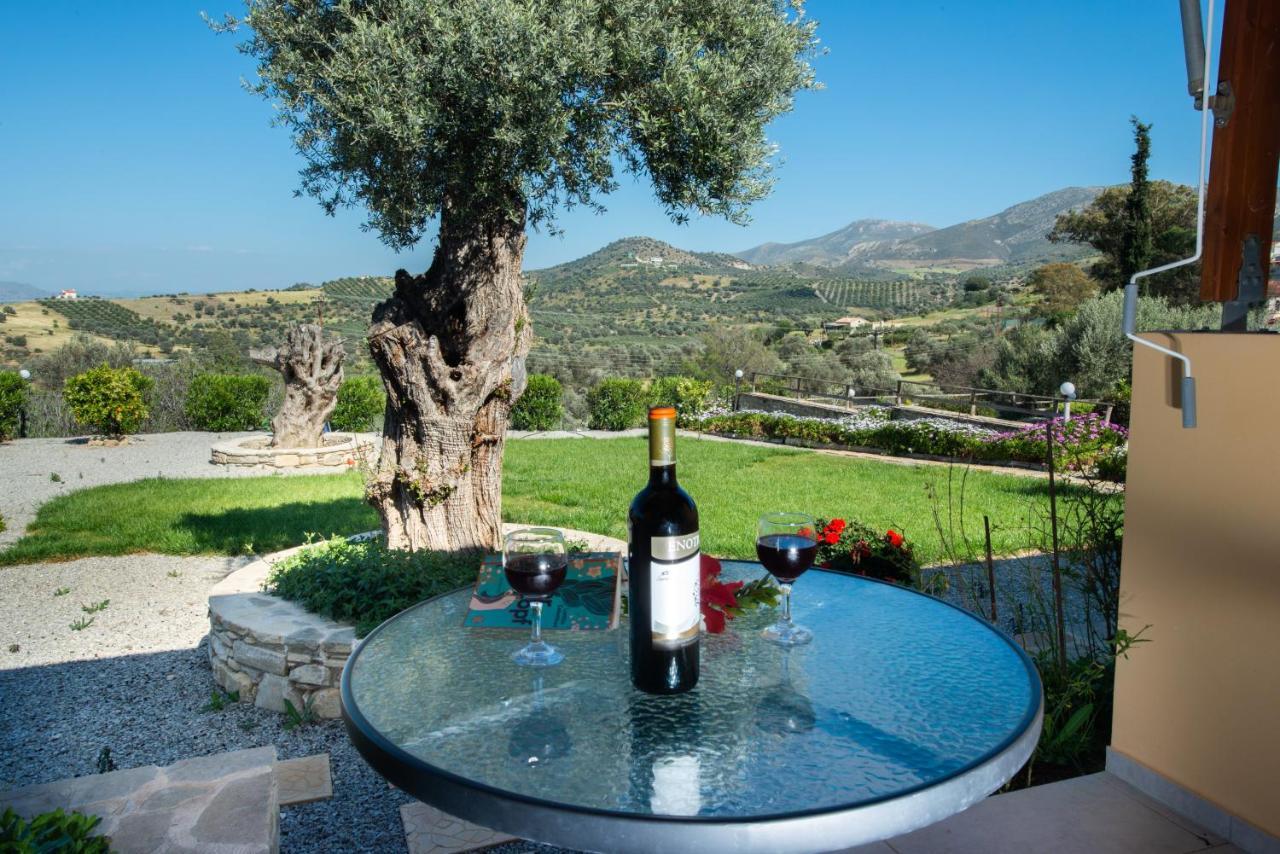 Sivas Apartments-Studios,Sigelakis With Very Nice View Екстериор снимка